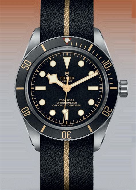 tudor wstch|build your own tudor watch.